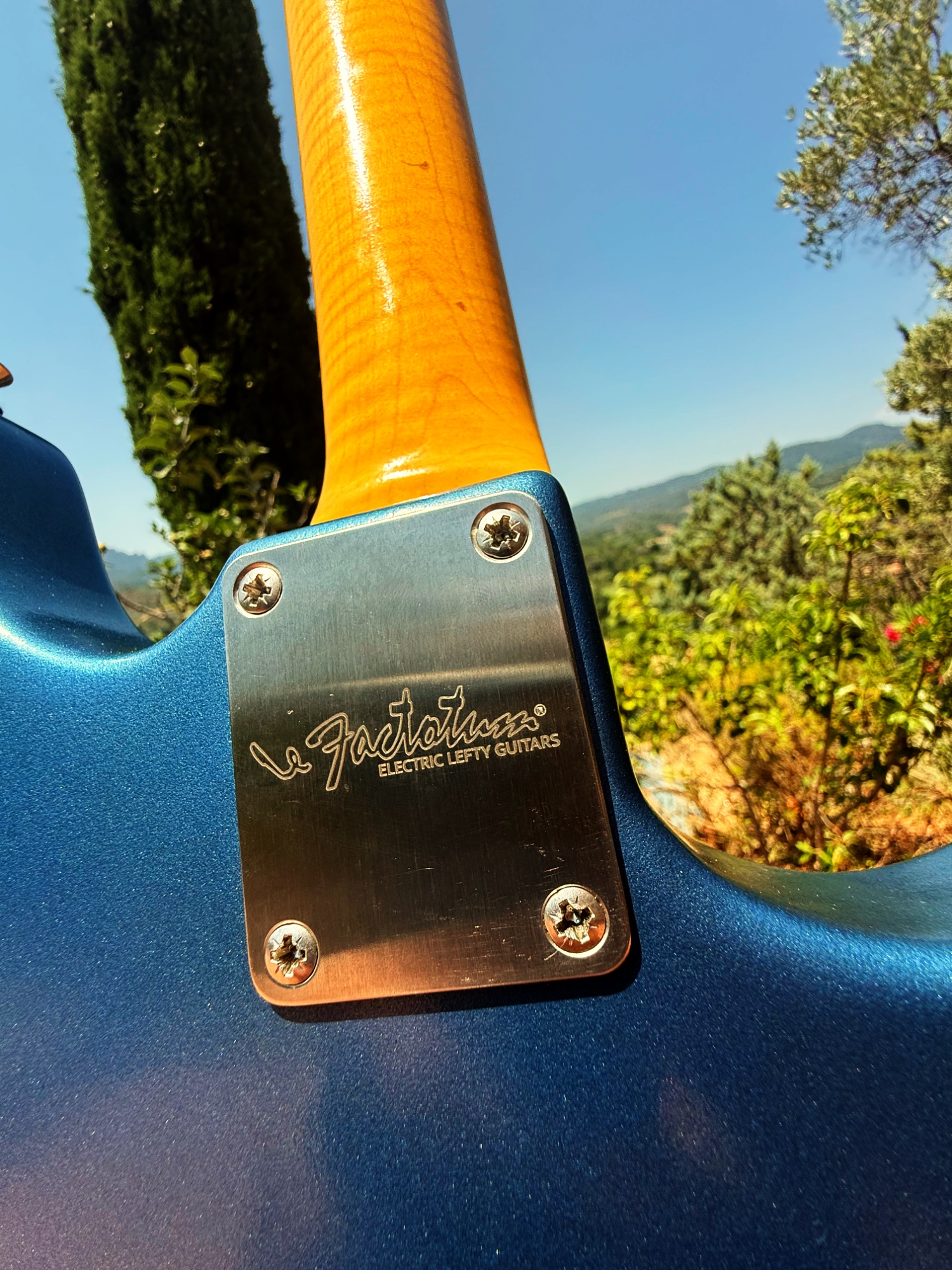 Basse VI perso. pour gaucher — photo 7 — Custom Shop France